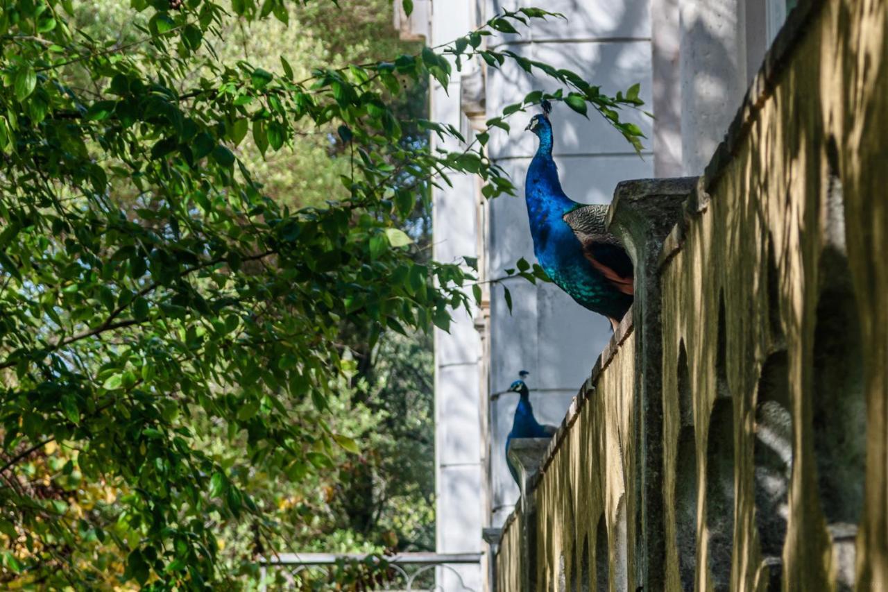Casas Da Tapada Appartement Lissabon Buitenkant foto